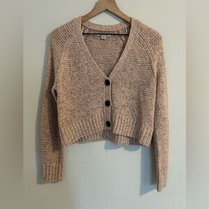 American Eagle Cardigan